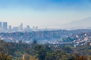 Podas-y-derribos-de-arboles-en-Naucalpan